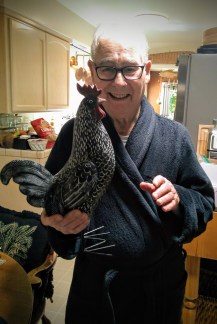 dad and chicken