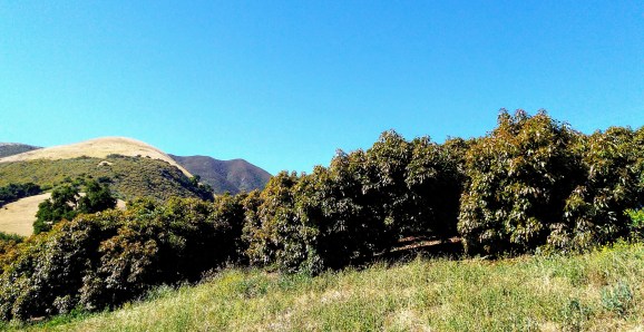 IMG_20190626_165111879